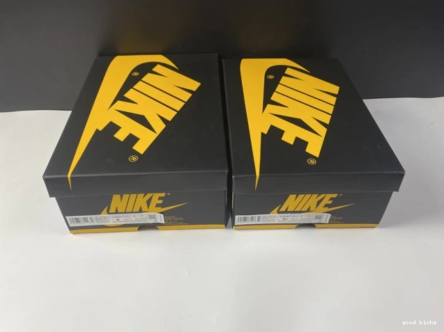 Rep 555088-701 Retro Pollen Jordan Air 1 High OG 0817